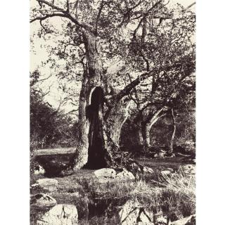 Eugène Cuvelier - \'Le Clovis\'