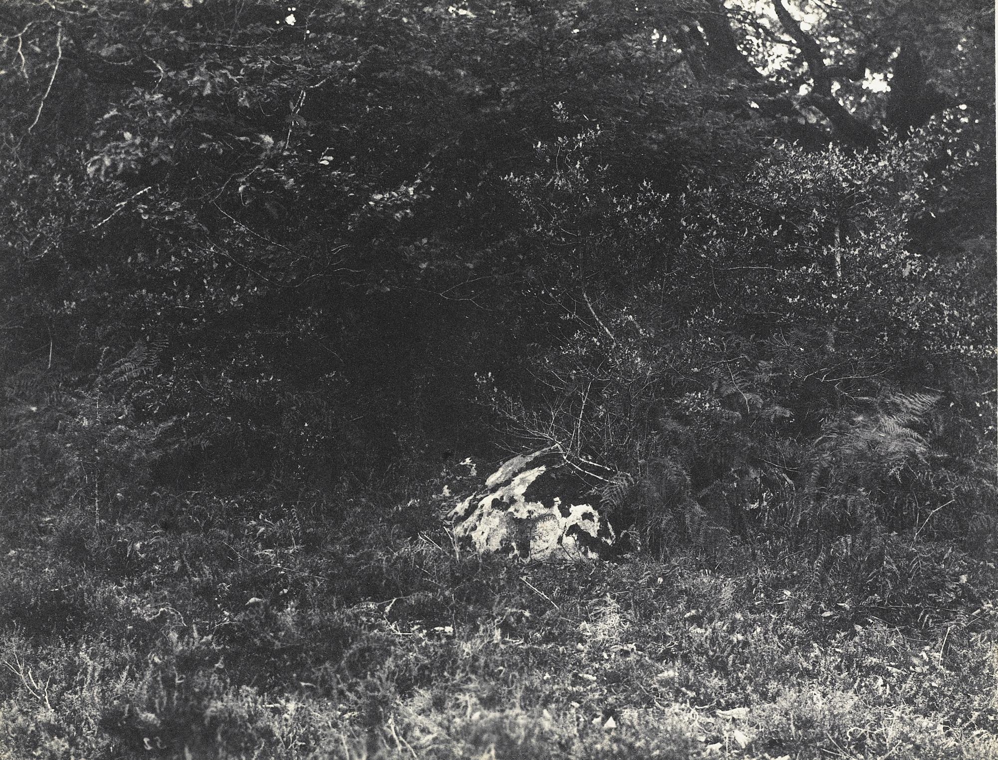 Eugène Cuvelier - Près De La Reine Blanche