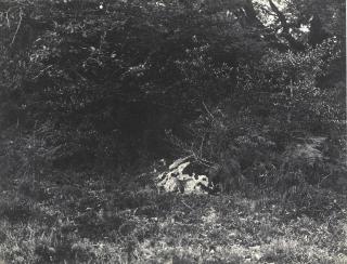 Eugène Cuvelier - Près De La Reine Blanche