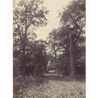 Eugène Cuvelier - Route Du Bodmer