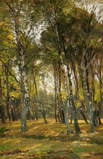 Eugène Gustav Dücker - Sommerlicher Birkenwald