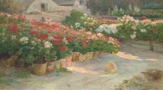 Eugène-Henri Cauchois - Jardin de roses