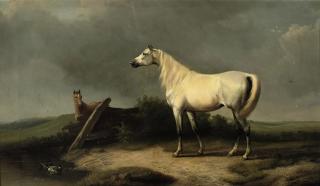 Eugène Joseph Verboeckhoven - A white mare and her foal