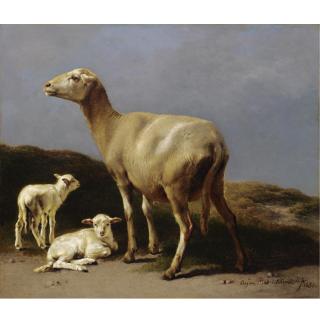 Eugène Joseph Verboeckhoven - Belgian Ewe And Her Lambs