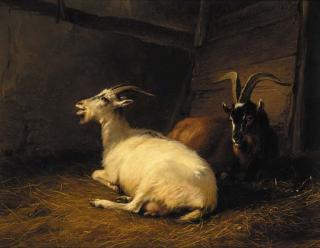 Eugène Joseph Verboeckhoven - Goats in a stable