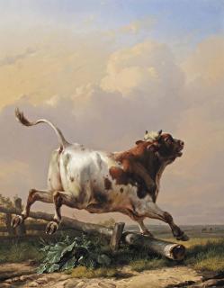 Eugène Joseph Verboeckhoven - The Bull