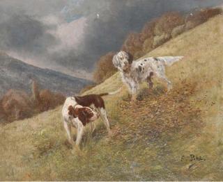 Eugene Petit - On the point