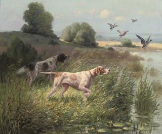 Eugène Petit - Pointers flushing out the quarry