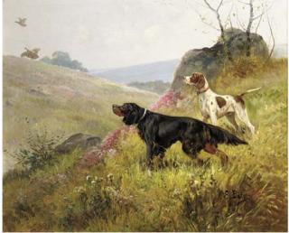 Eugène Petit - Pointers hunting