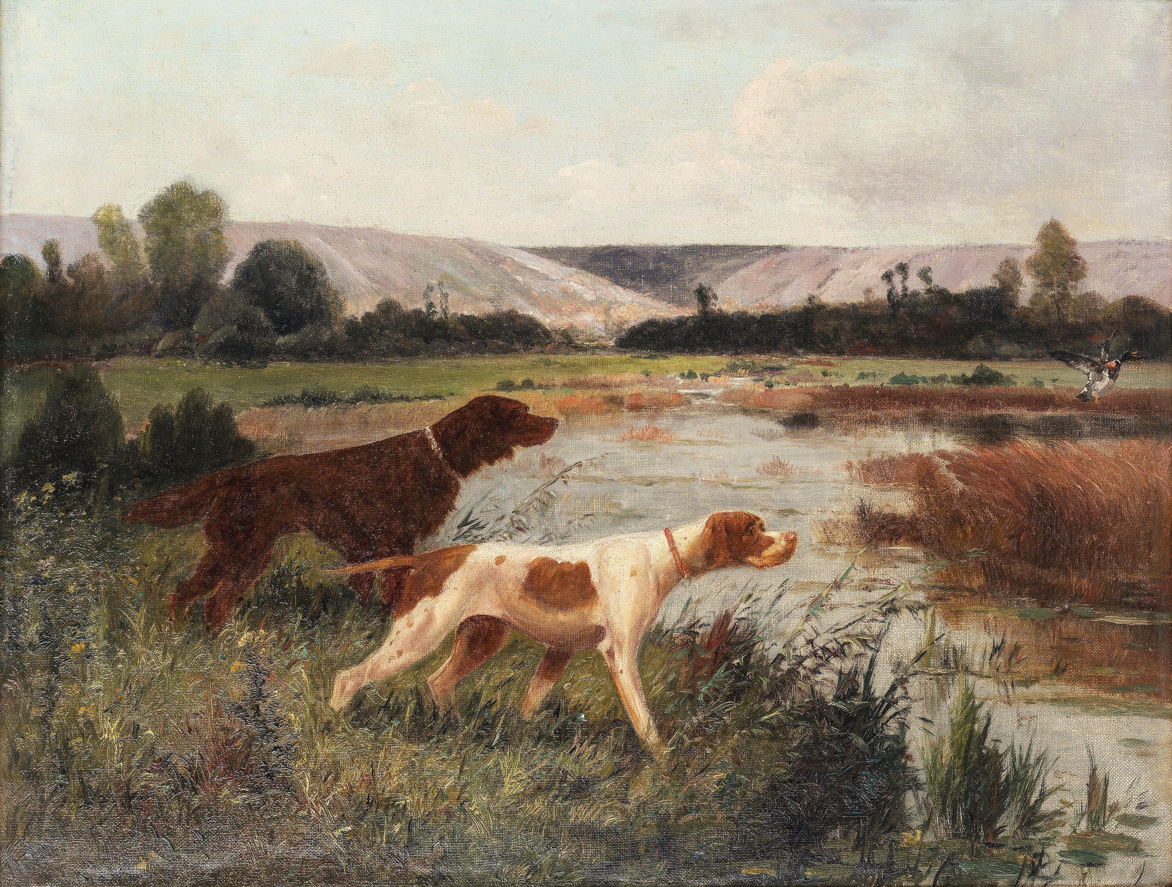 Eugene Petit - Pointers wildfowling
