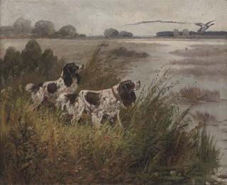 Eugene Petit - Spaniels hunting duck