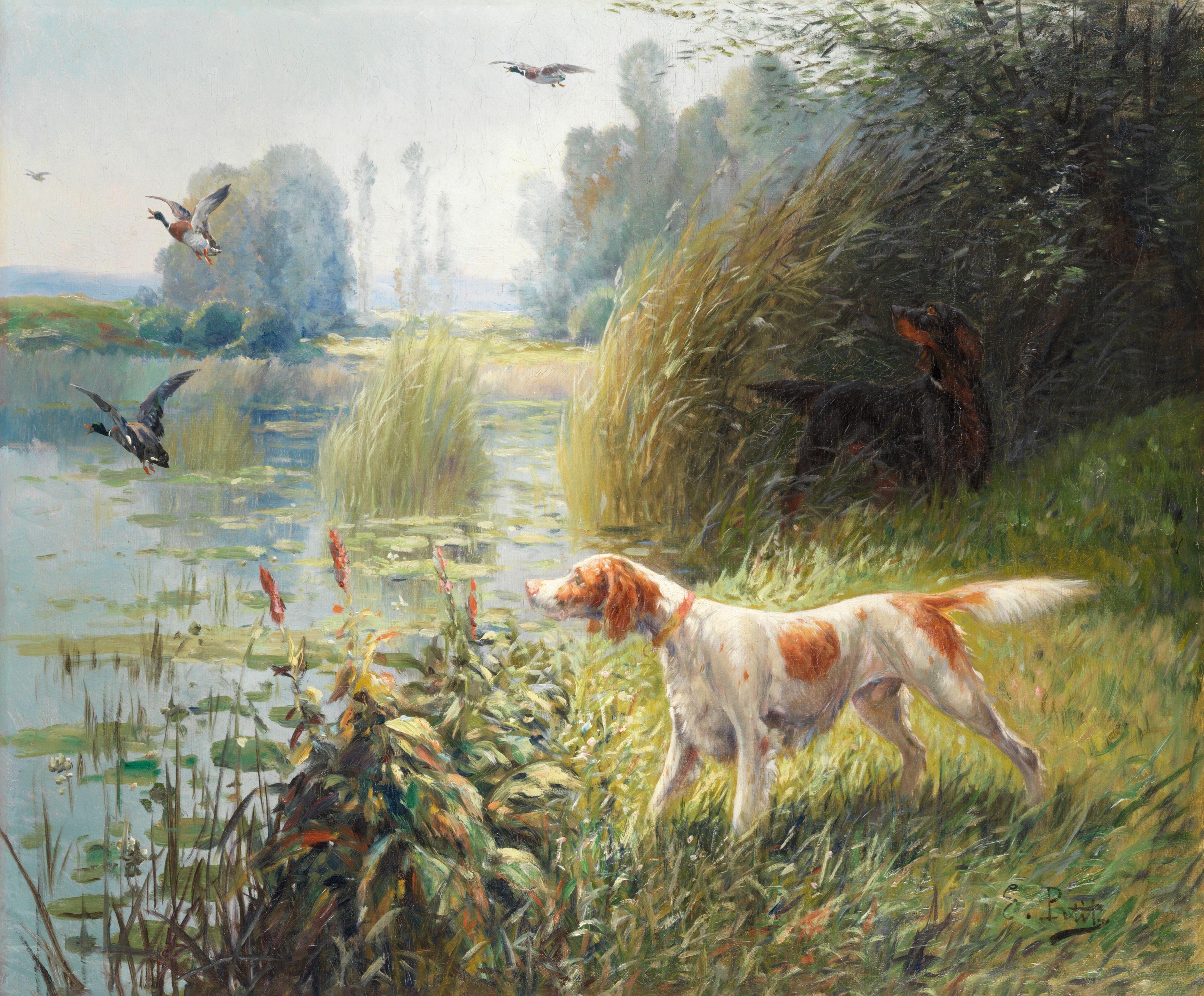 Eugene Petit - Spaniels wildfowling