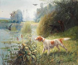 Eugene Petit - Spaniels wildfowling