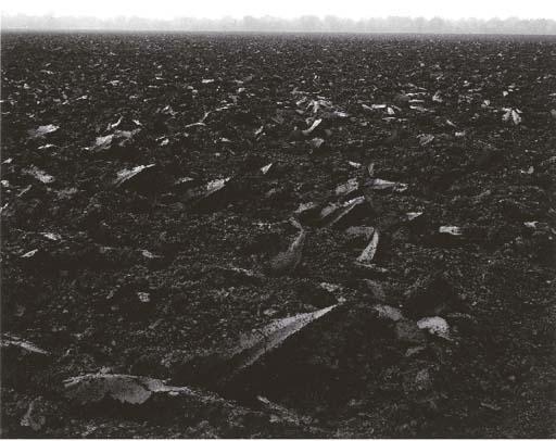 Eugene Richards - Delta Soil