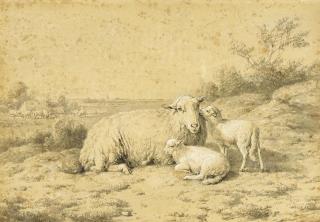 Eugène Verboeckhoven - Schafe