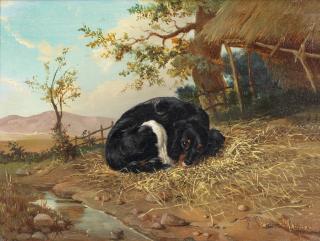 Eugène Verboeckhoven - Spaniel resting