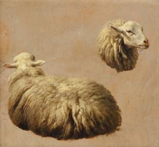 Eugène Verboeckhoven - Studies For A Sheep