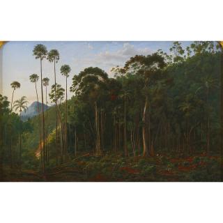 Eugene Von Guerard - Australian Cabbage Trees Near The Shoalhaven River, N.S.W.