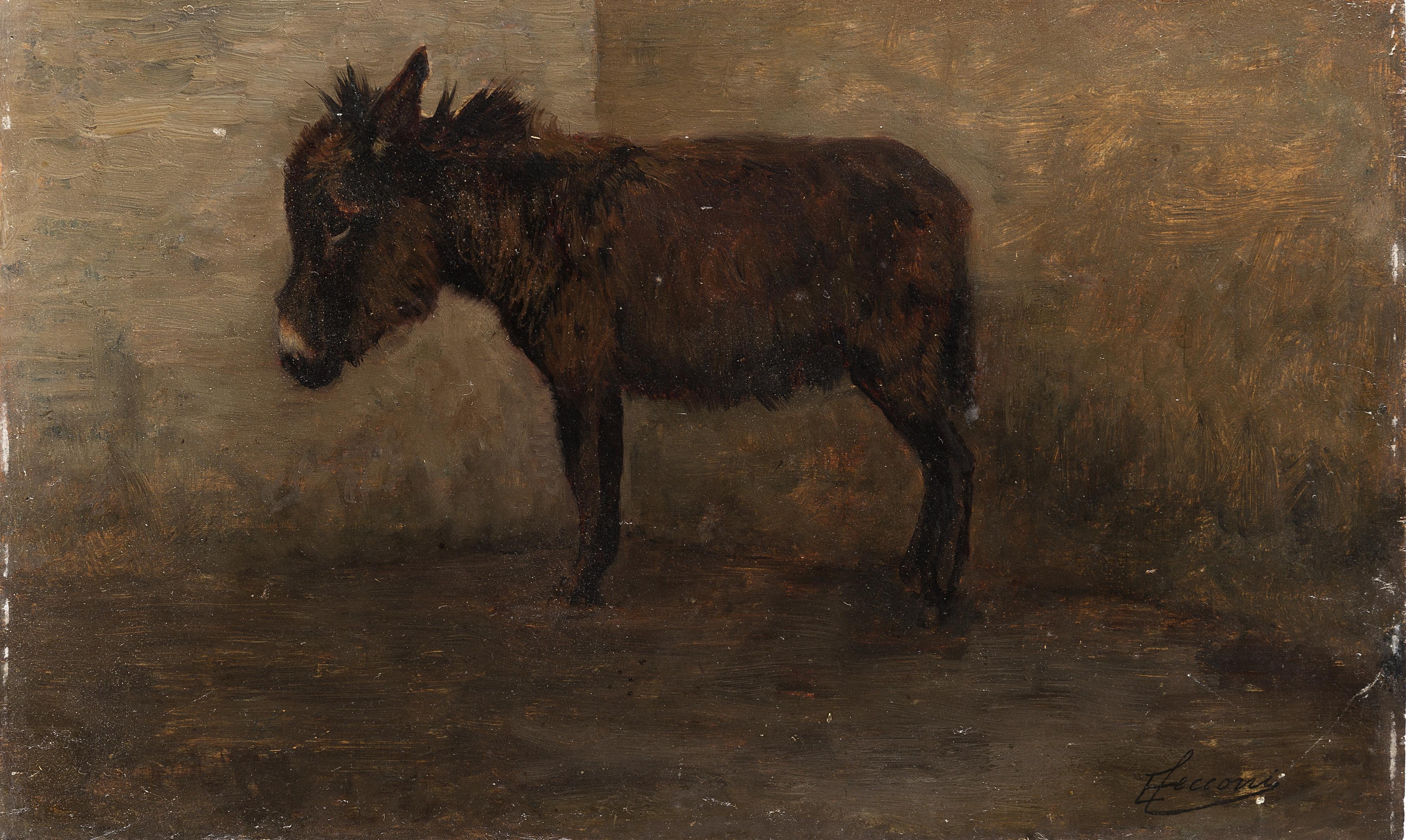 Eugenio Cecconi - L\'asinello