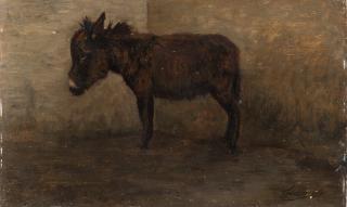 Eugenio Cecconi - L\'asinello