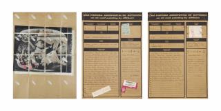 Eugenio Dittborn - Pieta (Madison Square Garden) (Pintura Aeropostal)