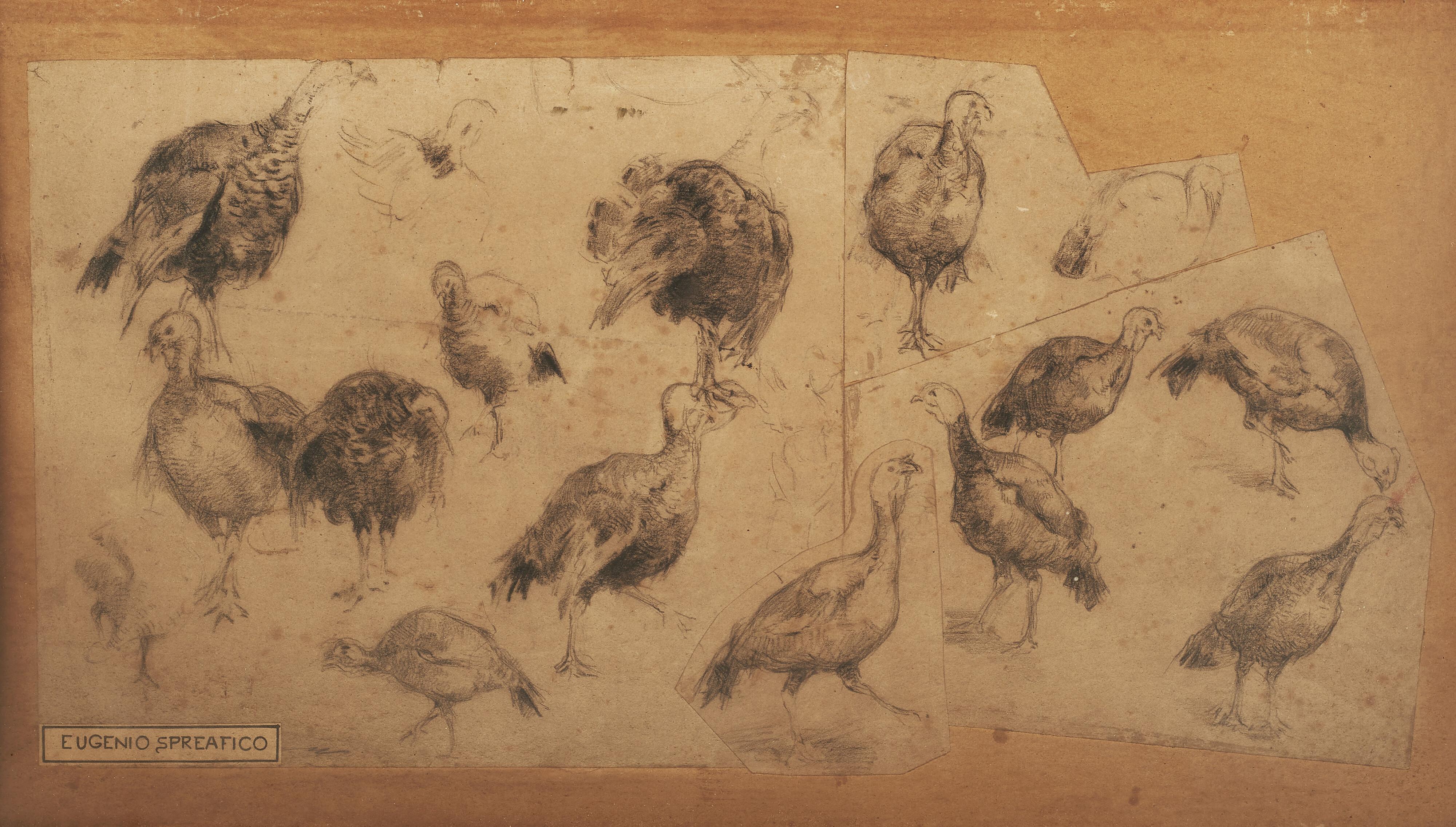 Eugenio Spreafico - Bozzetto per