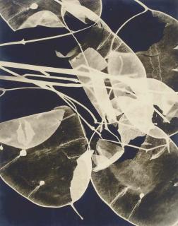 Eva Hesse - Untitled