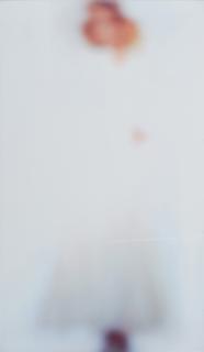 Eva Schlegel - Ohne Titel (001).