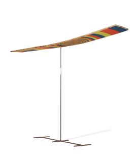 Evan Holloway - Wildly Painted Warped Lumber #2