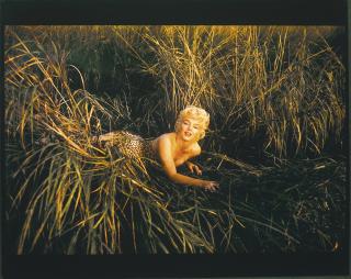 Eve Arnold - Marilyn In The Bullrushes, Mount Sinai, 1955