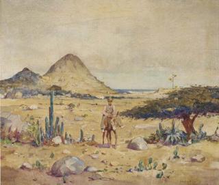Evert Jan Ligtelijn - De Hooiberg, Aruba: a man on a donkey on a rocky shore