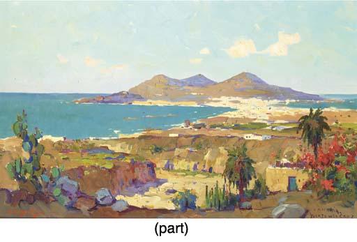 Evert Jan Ligtelijn - Puerto de La Cruz, Gran Canaria