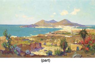 Evert Jan Ligtelijn - Puerto de La Cruz, Gran Canaria