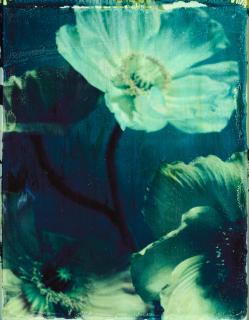 Ewa-Marie Rundquist - \