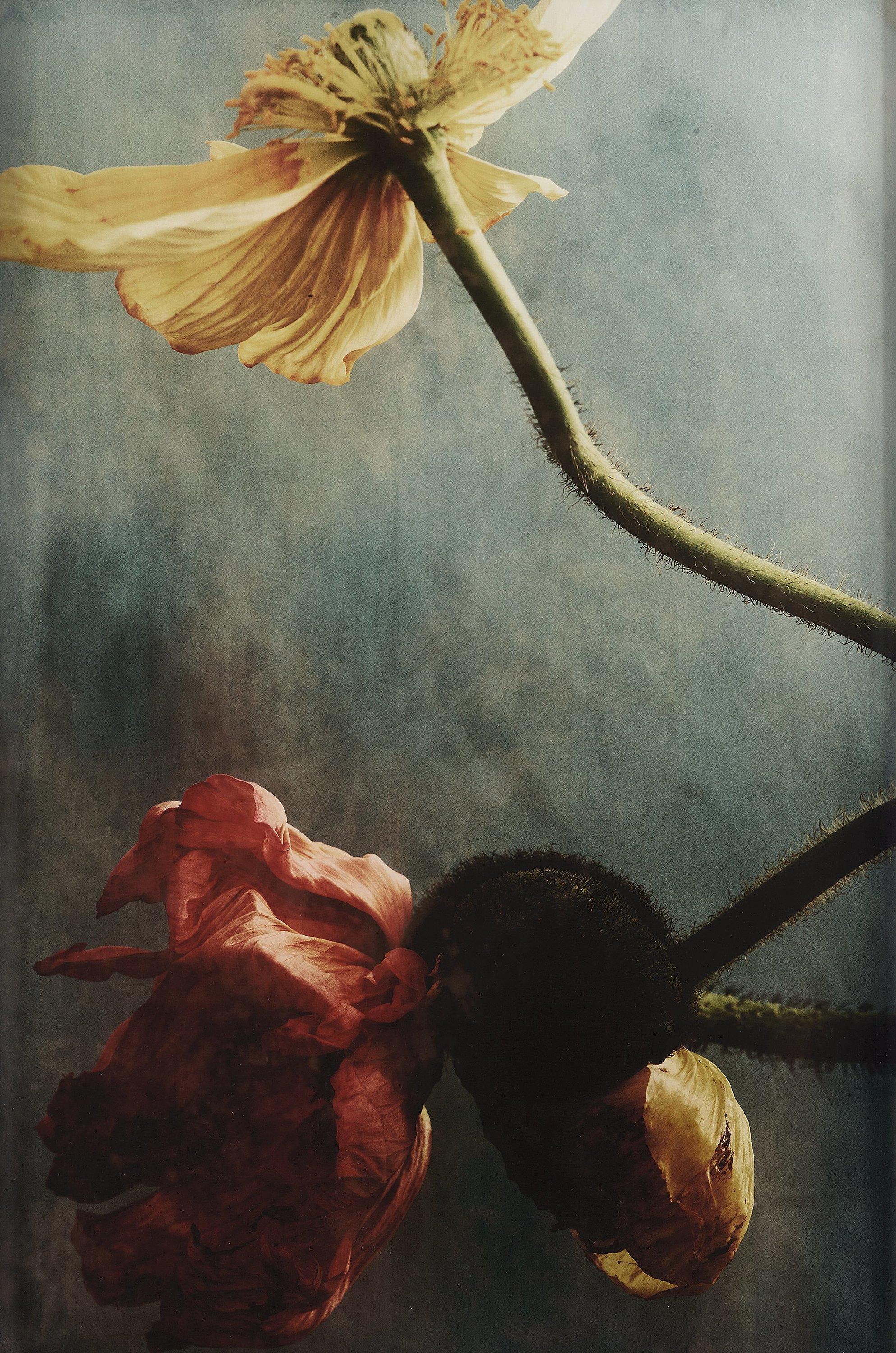 Ewa-Marie Rundquist - \