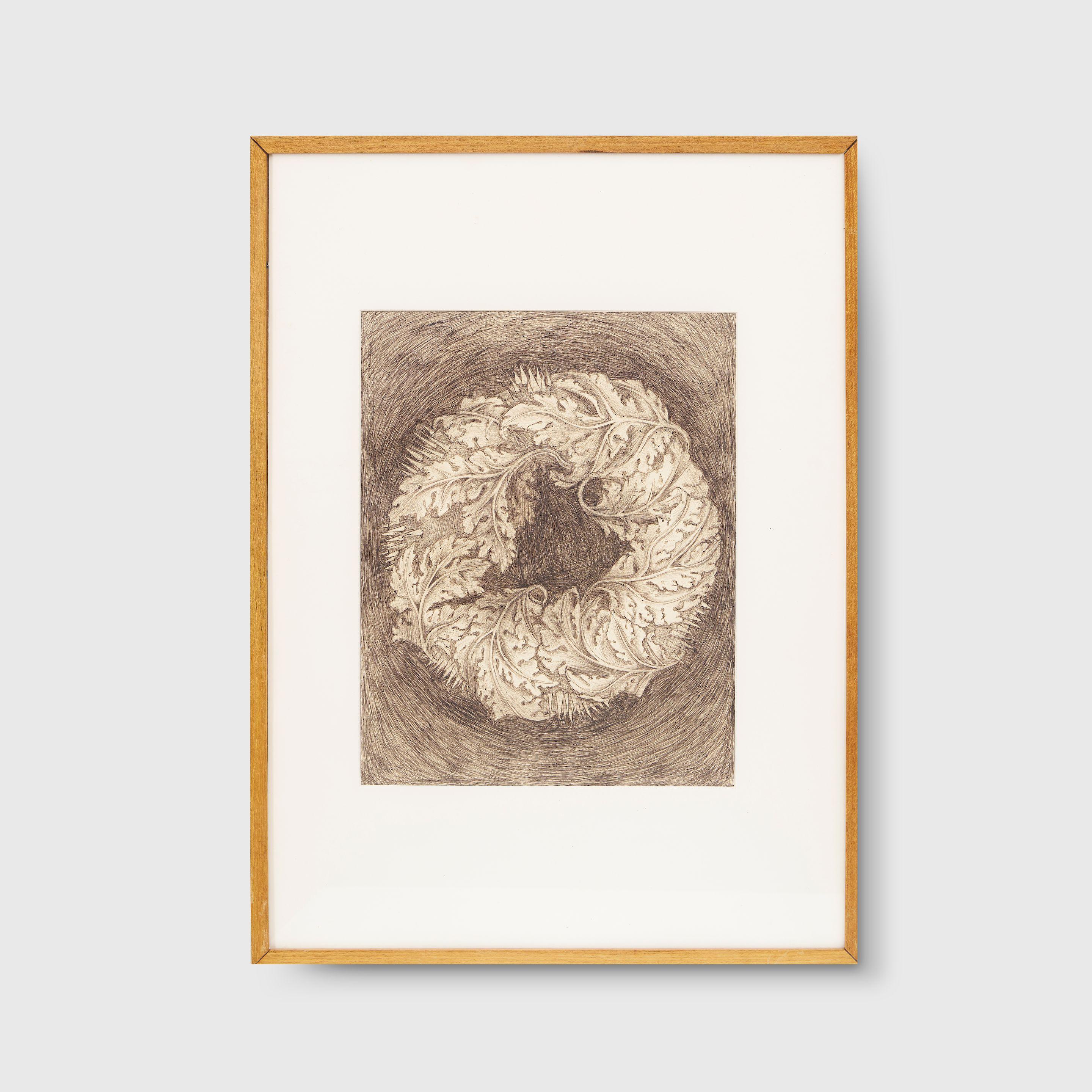 eX de Medici - Untitled