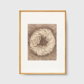 eX de Medici - Untitled