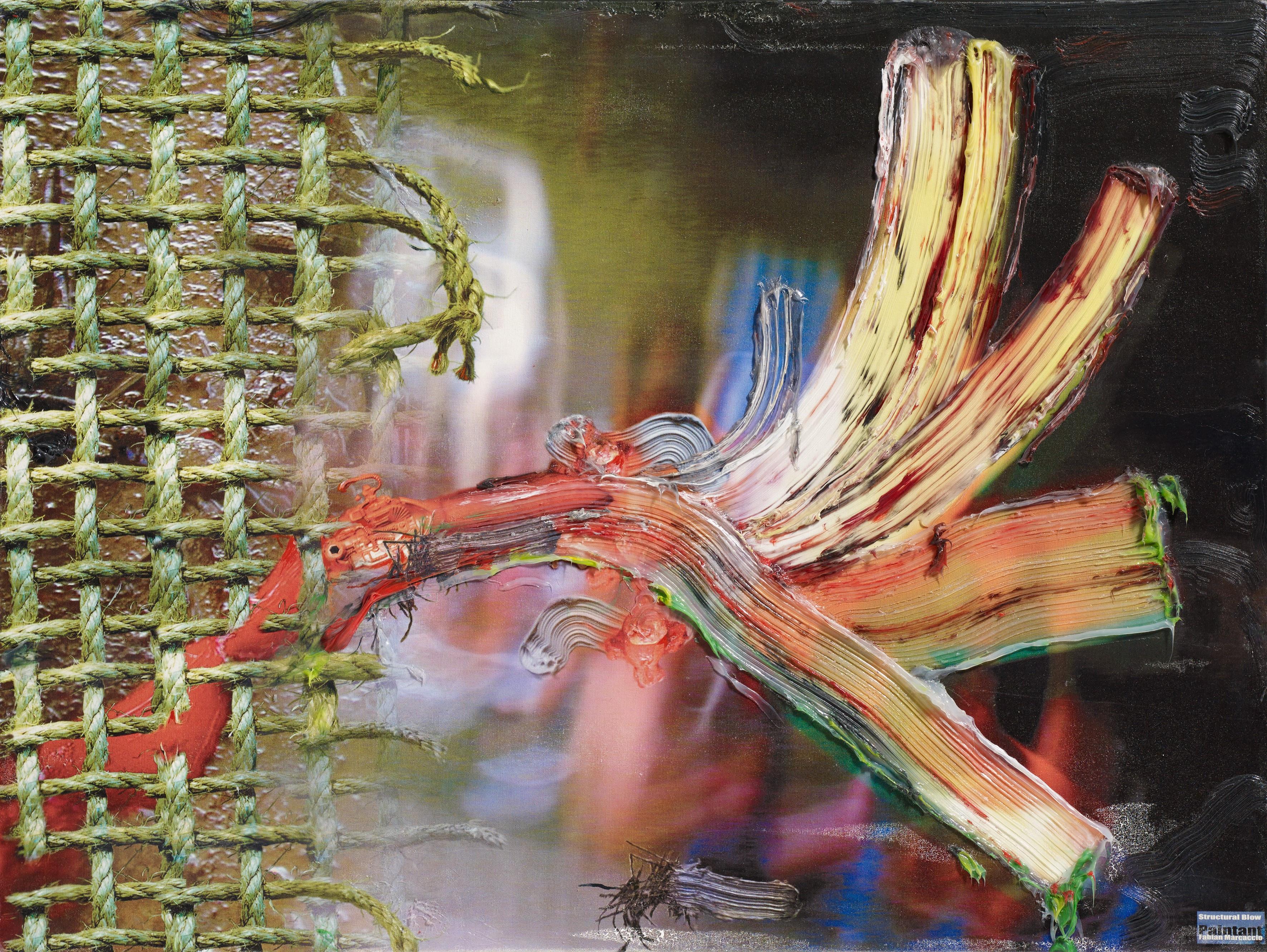 Fabian Marcaccio - Structural Blow Paintant.