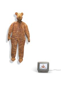 Fabrice Hyber - TedHyber en peau de poisson