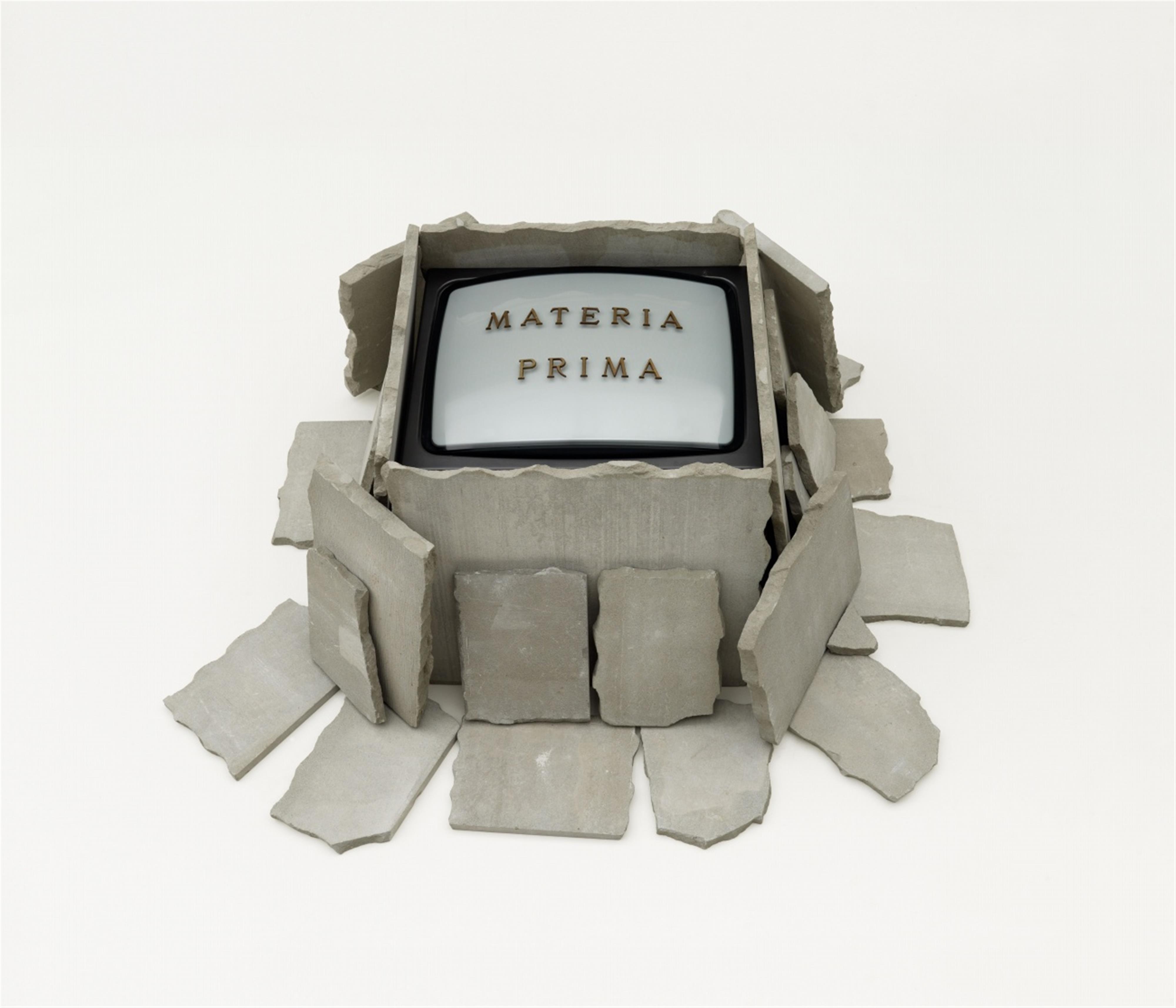 Fabrizio Plessi - Materia Prima