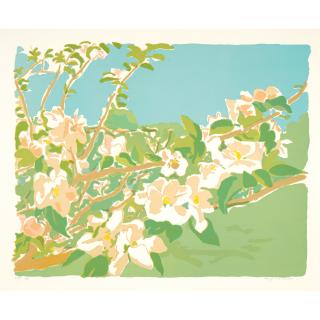 Fairfield Porter - Apple Blossom #3