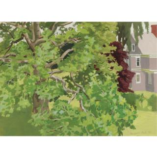 Fairfield Porter - Plane Tree