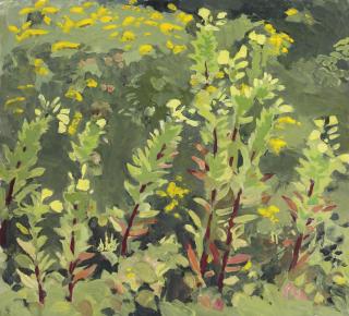 Fairfield Porter - Primroses And Goldenrod
