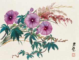 Fan Tchunpi - Morning Glory