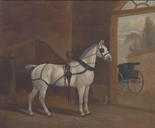 Fancy, A Carriage Horse