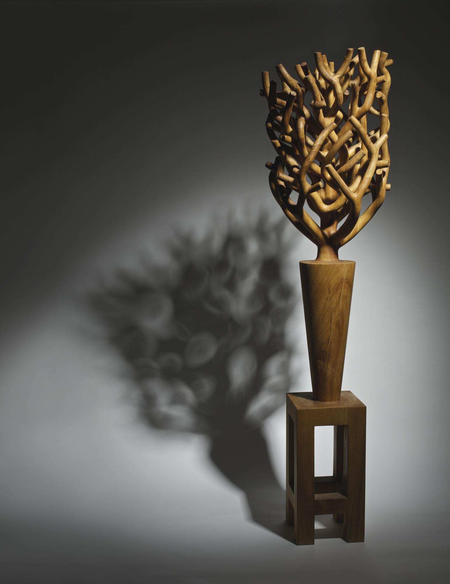 Fang Marvin-Minto - Bonsai