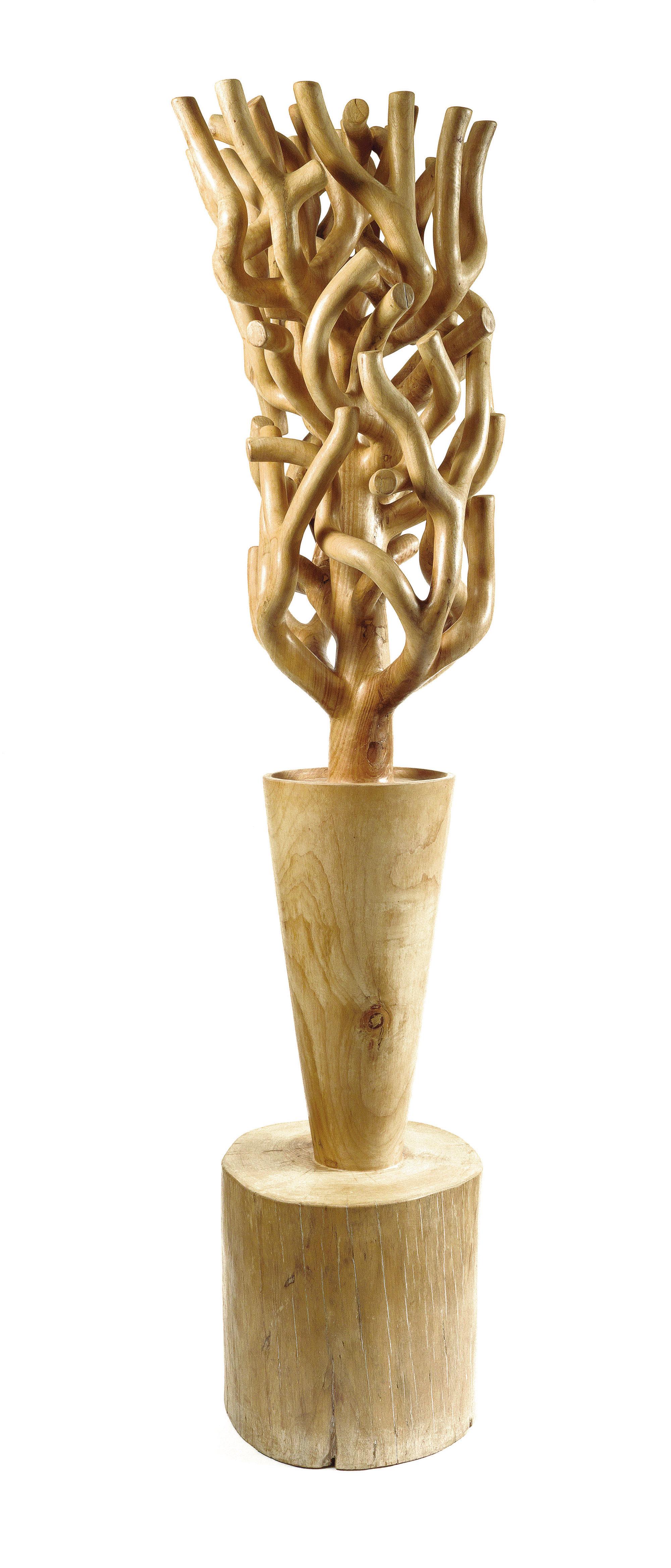 Fang Marvin-Minto - Plant