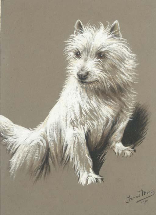 Fannie Moody - A Cairn terrier