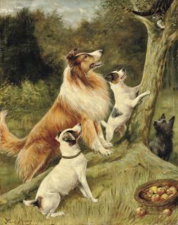 Fannie Moody - A Critical Moment