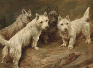 Fannie Moody - Four Cairn terriers